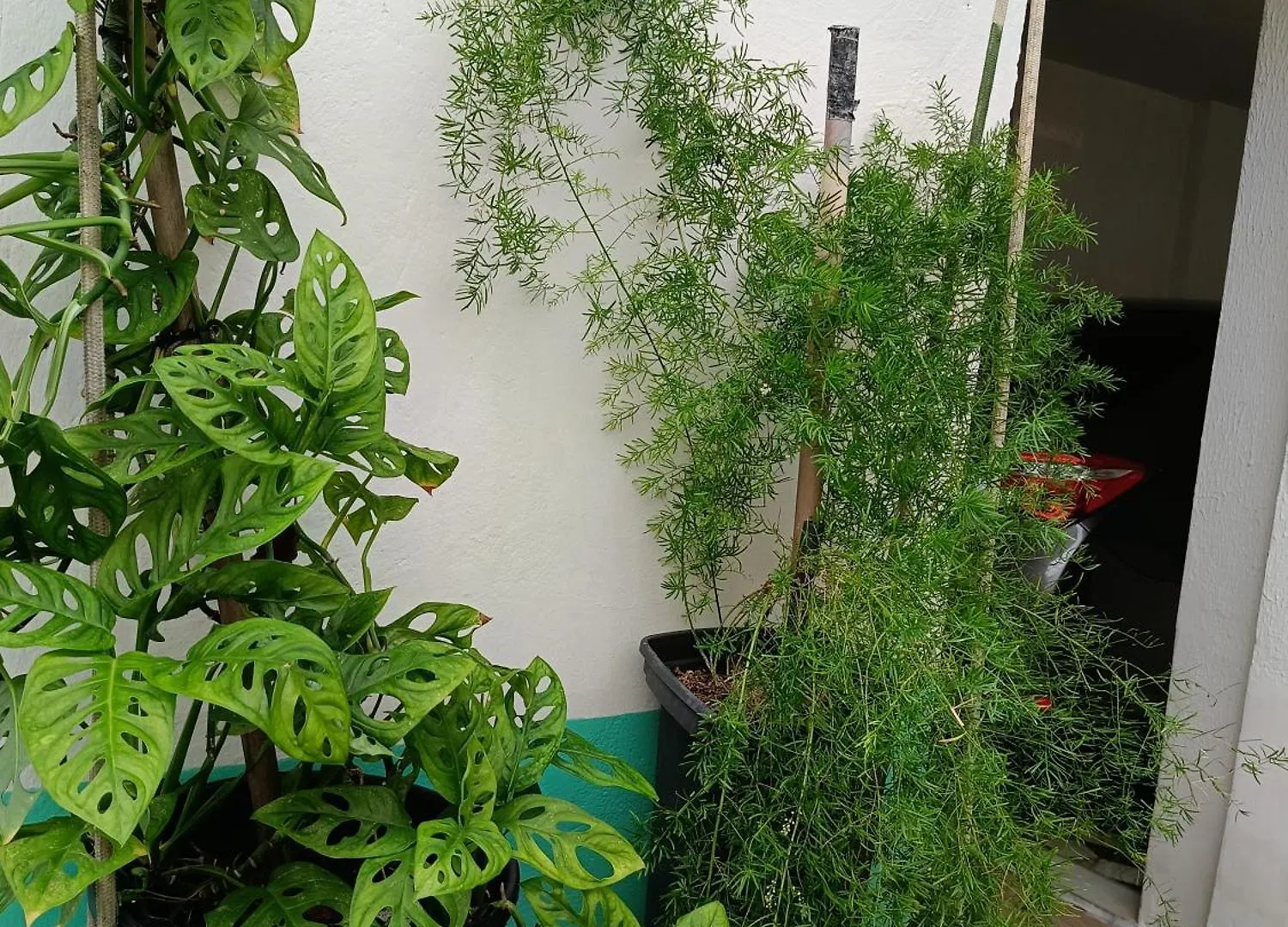 Casa Da Isy Hospedagem ナタール ホームステイ
